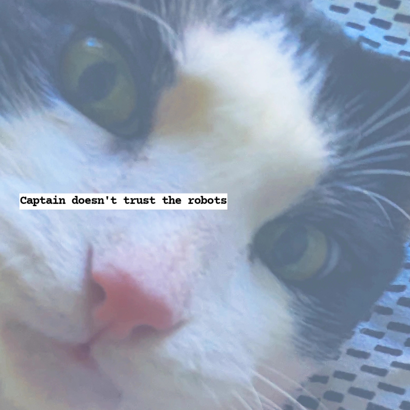 Memory Preservation Invariants: A New Class of Autonomous Agent Architectures